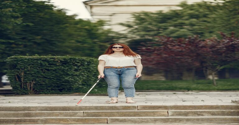 College for Blind Students