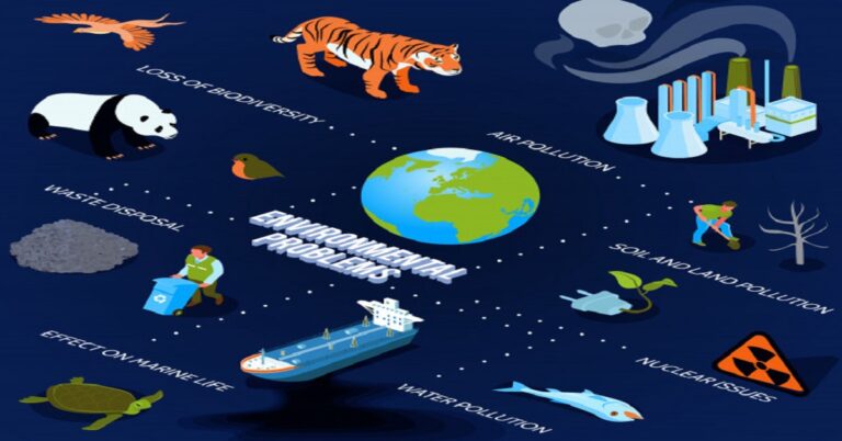 The Effect of Environmental Issues on Business Management in Today’s World