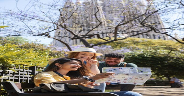 Tourism as a Development Strategy in Micro Regions of India