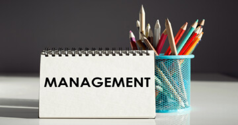 software project management - opportunities and challenges