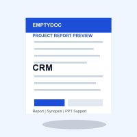 CRM project report preview for EmptyDoc students CRM project report preview for EmptyDoc students