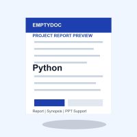 Python project report preview for EmptyDoc students